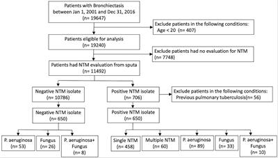 Impacts of Nontuberculous Mycobacteria Isolates in Non-cystic Fibrosis Bronchiectasis: A 16-Year Cohort Study in Taiwan